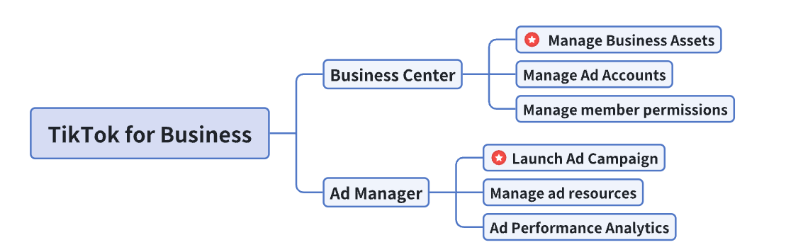 TikTok Business Center vs Ads Manager