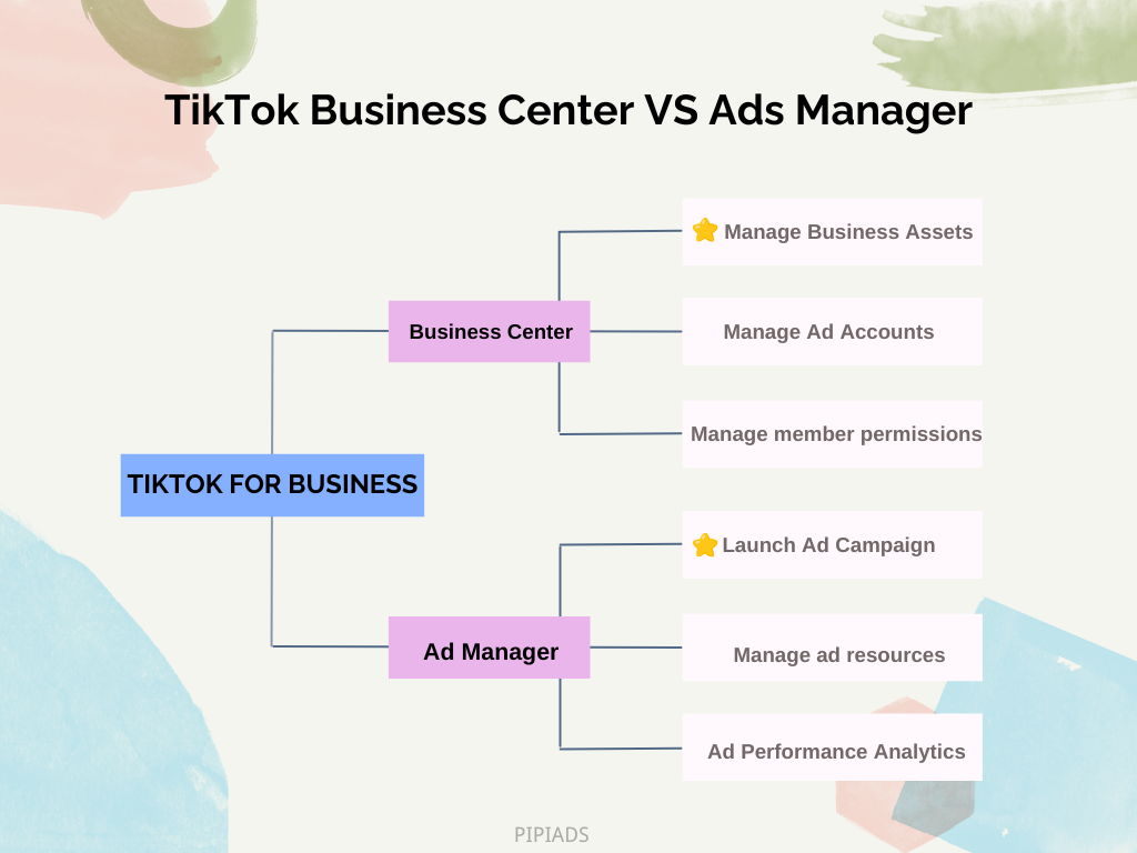 TikTok Business Center vs Ads Manager